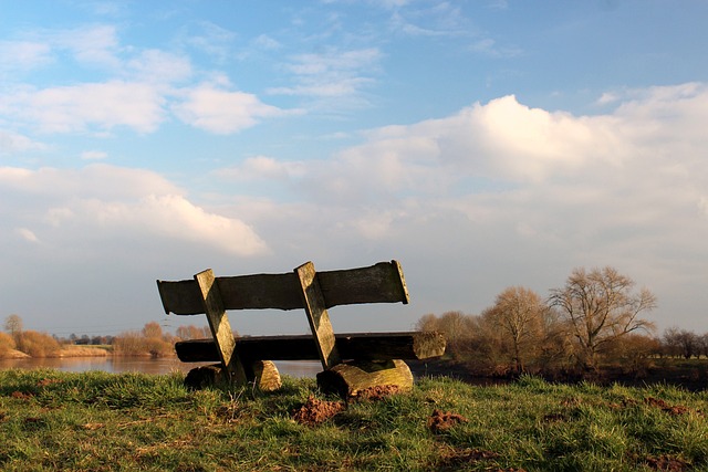 银行 坐 安静的 - 上的免费照片