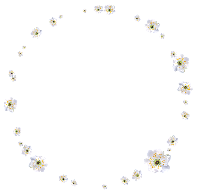 春天 盛开 花卉 - 上的免费图片