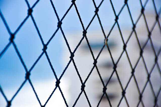 钢 铁 金属丝 - 上的免费照片