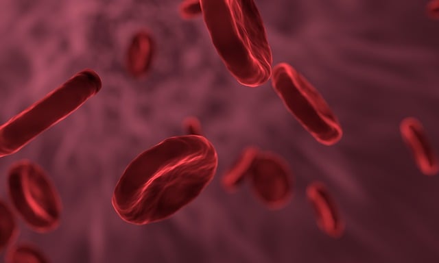 红细胞 微生物学 生物学 - 上的免费图片