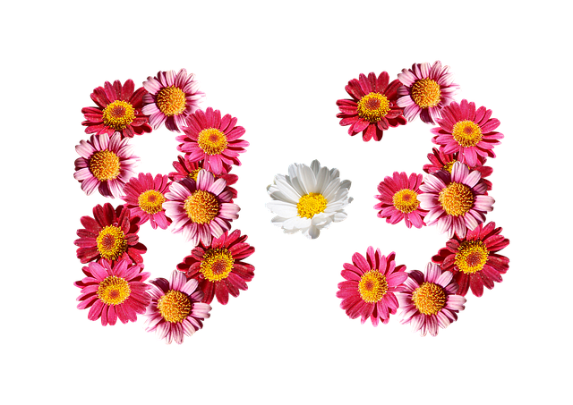 八个月三 装饰 背景 - 上的免费照片