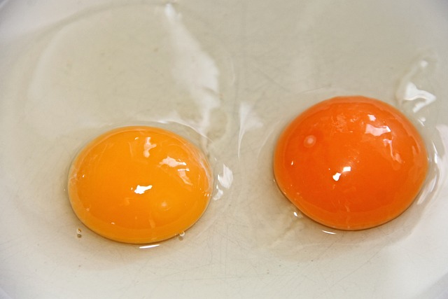 蛋黄 蛋 炒鸡蛋 - 上的免费照片