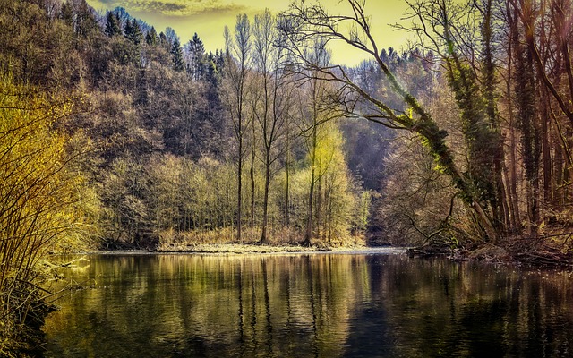 森林 湖 自然 - 上的免费照片