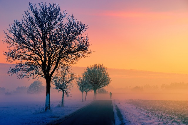 冬天 多雾路段 黎明 - 上的免费照片