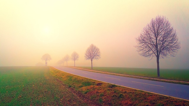 黎明 路 多雾路段 - 上的免费照片