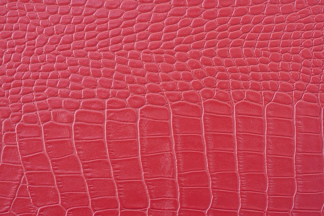 皮肤 模型 墙纸 - 上的免费照片