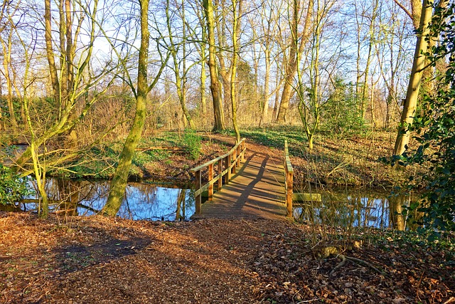 桥 溪 小路 - 上的免费照片