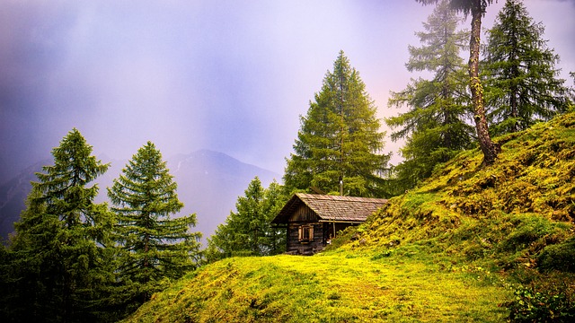 高山小屋 山 树木 - 上的免费照片