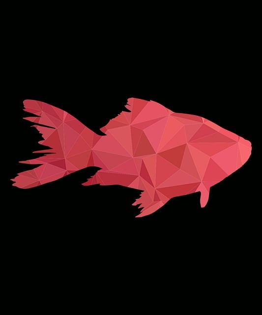 鱼 渔夫 主Fisher - 上的免费图片