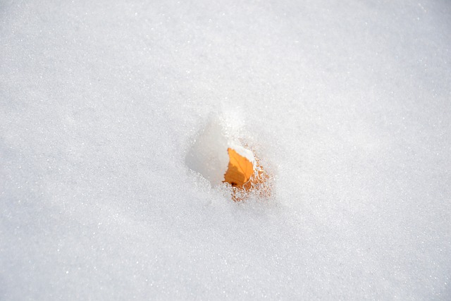 雪 床单 自然 - 上的免费照片