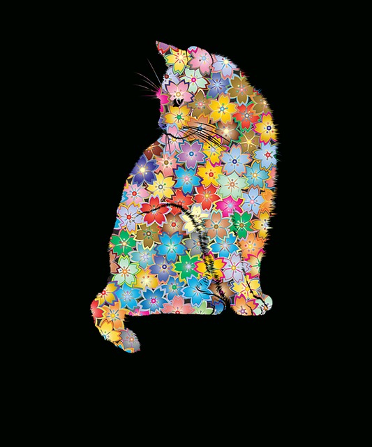 花店 花店Ca 花猫 - 上的免费图片