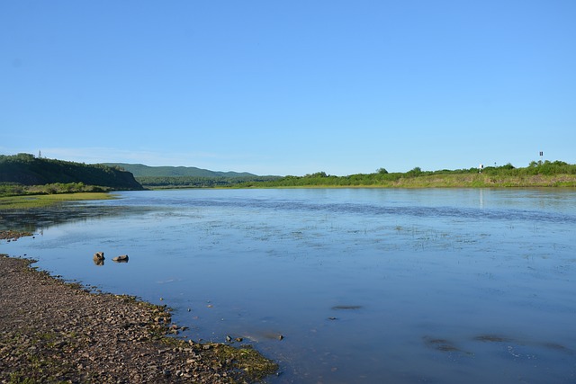 大自然 户外 - 上的免费照片