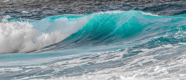 水 海 冲浪 - 上的免费照片