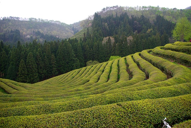 谷 爬坡道 山 - 上的免费照片