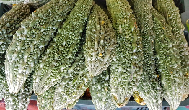 苦瓜 水果 亚洲 - 上的免费照片