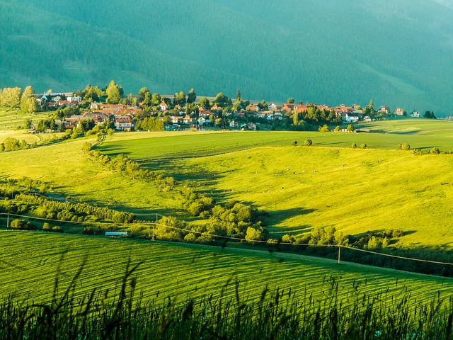 波利亚 斯洛伐克 利普托夫 Veterná - 上的免费照片