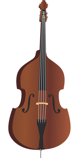 低音提琴 低音 音乐 - 免费矢量图形