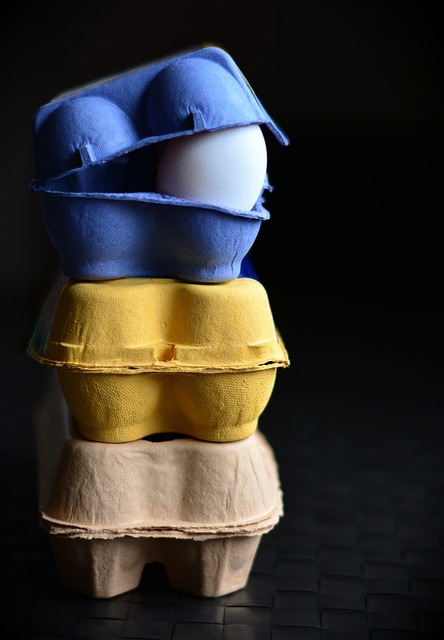 鸡蛋盒 蛋 蛋盒 - 上的免费照片