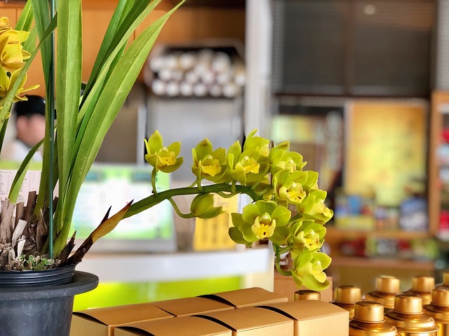 茶 花 花瓶 - 上的免费照片