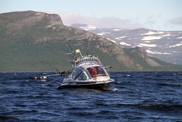 水 湖 雪 - 上的免费照片