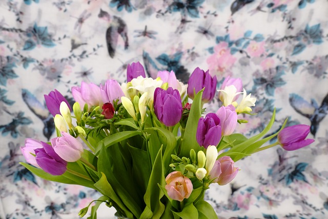 一束花朵 花 郁金香 - 上的免费照片