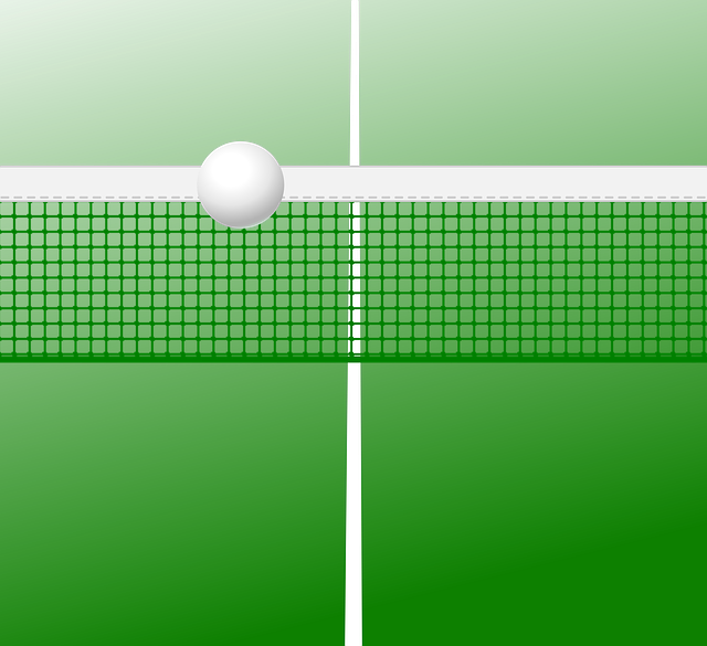 乒乓球桌 乒乓球网 乒乓球 - 上的免费图片