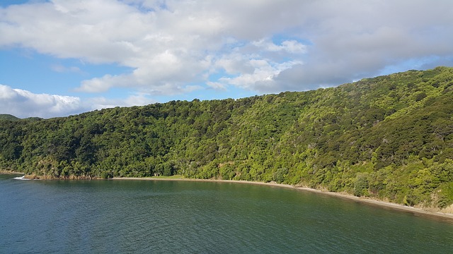 自然 水 全景 - 上的免费照片