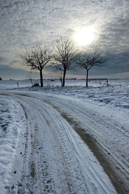 冬天 霜 寒冷的 - 上的免费照片