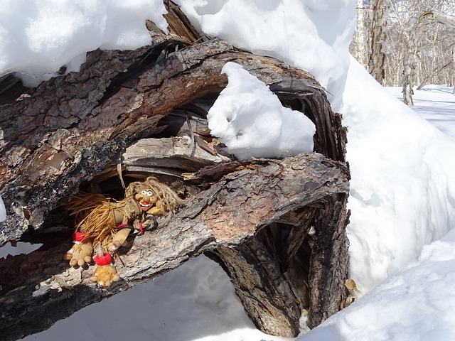 玩具娃娃 巴布亚 本国的 - 上的免费照片