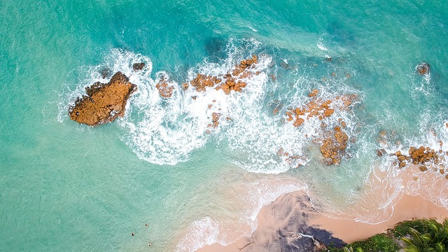 人体内的水 海 游泳 - 上的免费照片