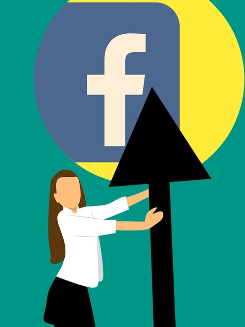 Facebook 脸 脸书图标 - 上的免费图片