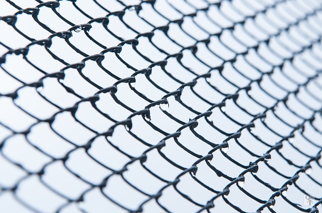 样本 背景 Web - 上的免费照片