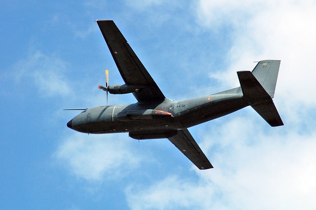 飞机 飞行 航展 - 上的免费照片