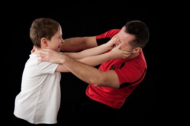 萨拉萨尔 白色的 - 上的免费照片