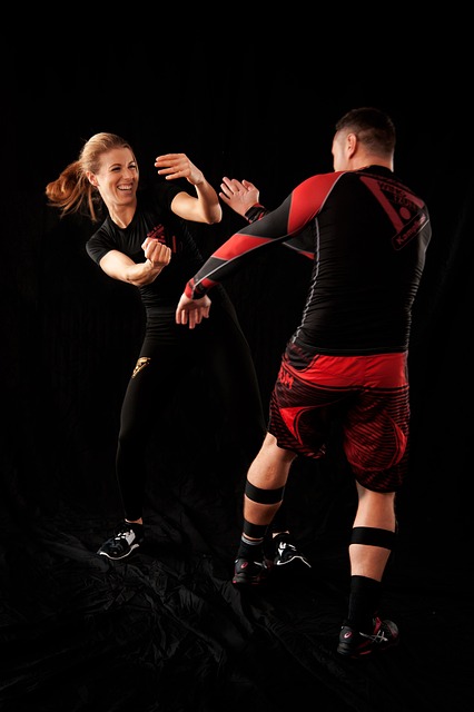 萨拉萨尔 白色的 - 上的免费照片