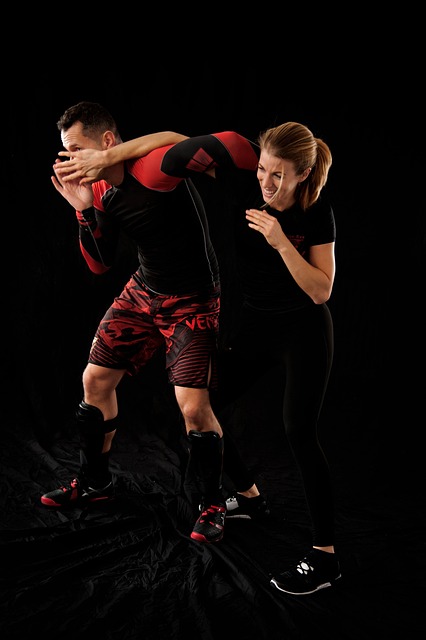 萨拉萨尔 白色的 - 上的免费照片