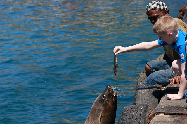 开普敦 海洋 南非共和国 - 上的免费照片