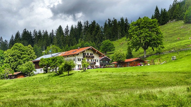 自然 草 木头 - 上的免费照片