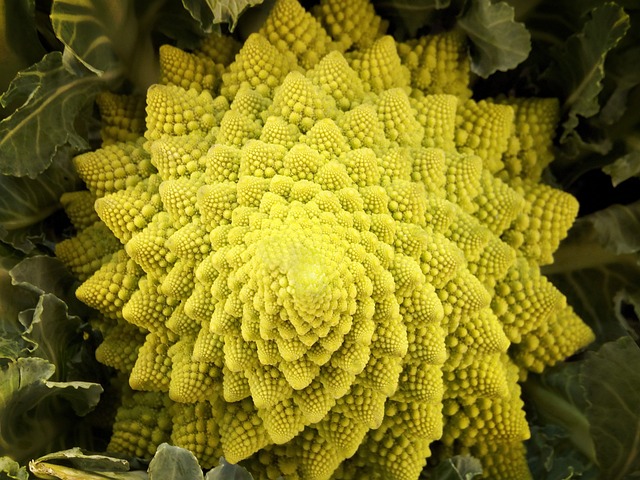 Romanescu 宝塔 蔬菜 - 上的免费照片