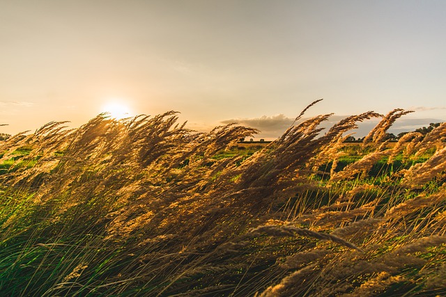 自然 太阳 乡村的 - 上的免费照片