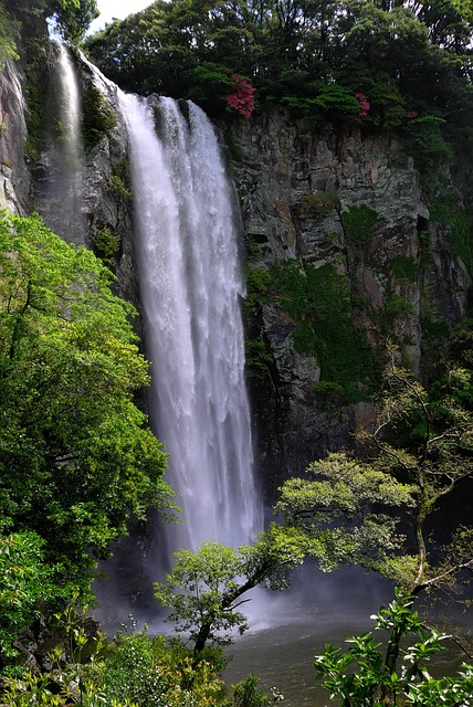 水体 大自然 瀑布 - 上的免费照片