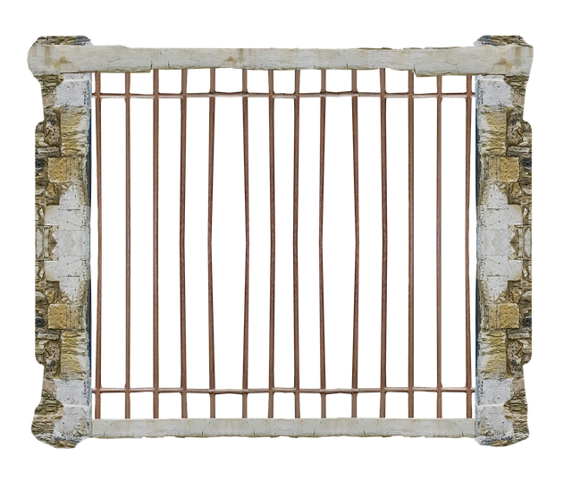 笼 监狱 透明的 - 上的免费照片