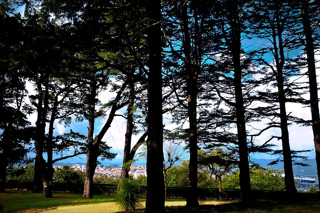 加利西亚 维哥 或者卡斯特罗 - 上的免费照片