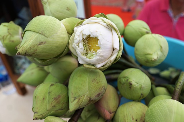食物 植物 水果 - 上的免费照片