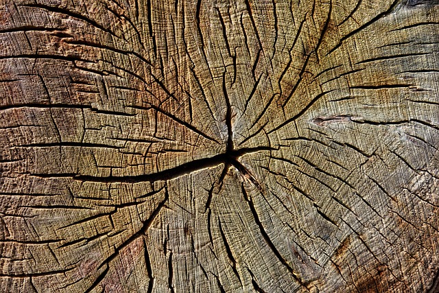 木头 切碎的 切 - 上的免费照片