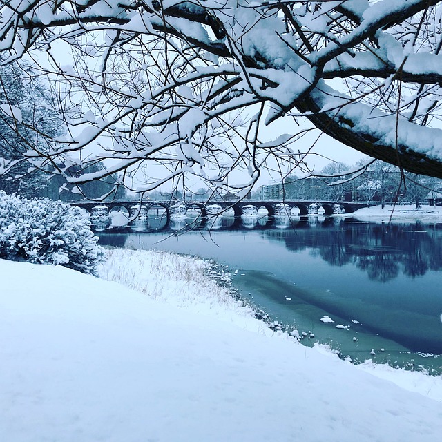 冬天 雪 寒冷的 - 上的免费照片