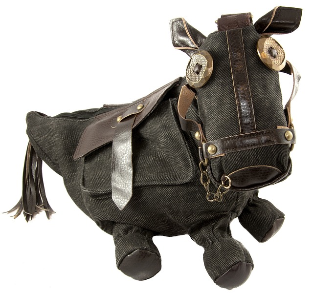 驴 马 动物 - 上的免费照片