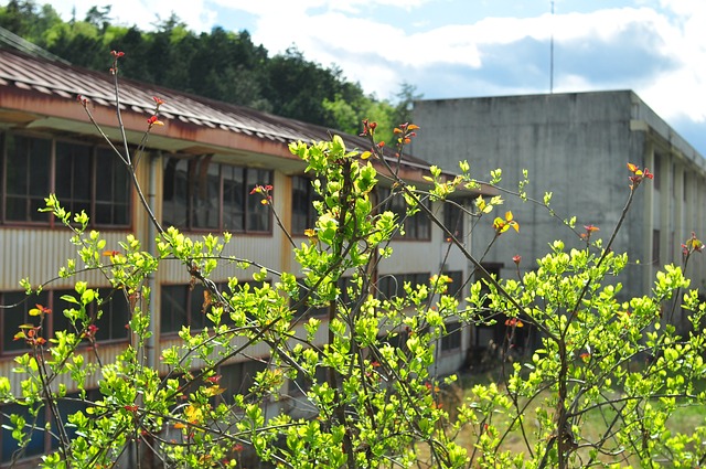 首页 木材 户外 - 上的免费照片