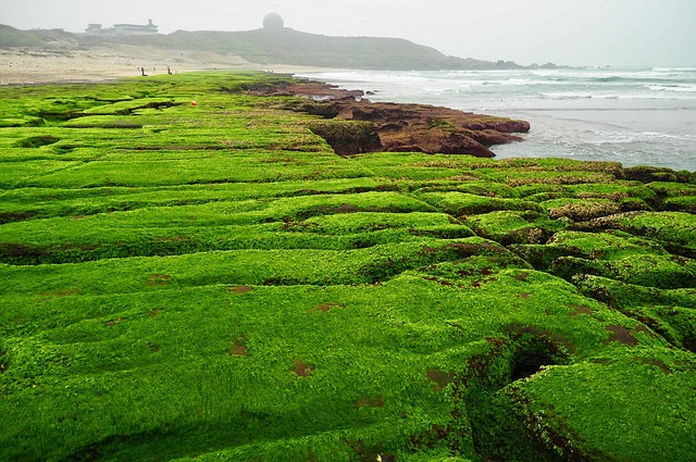 景观 大自然 场 - 上的免费照片