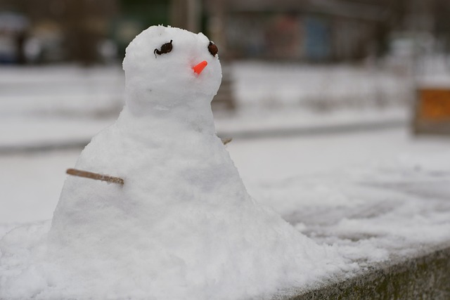 冬天 雪 寒冷的 - 上的免费照片